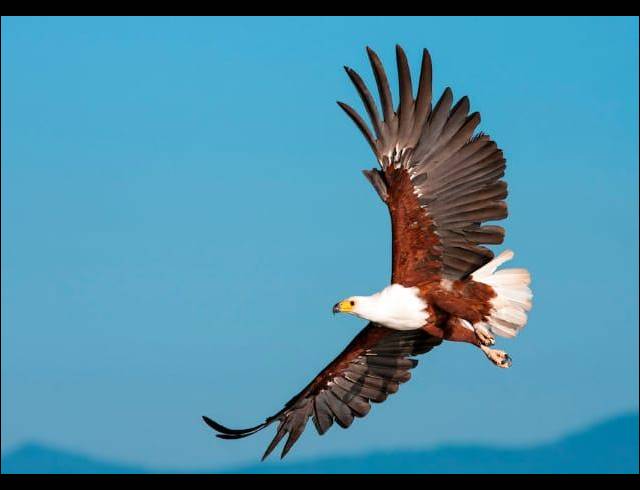 LAND FOR SALE IN DANA BAY